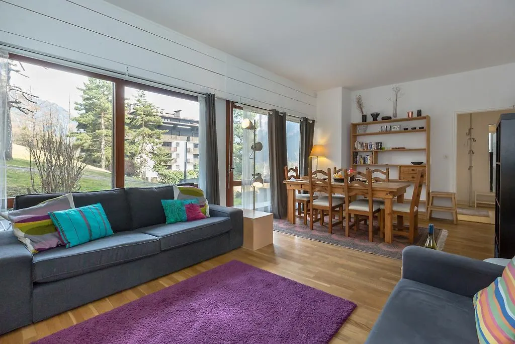 Summit Apartment - Chamonix location